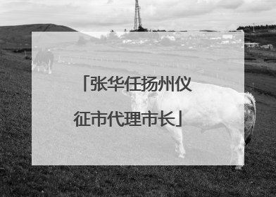 张华任扬州仪征市代理市长