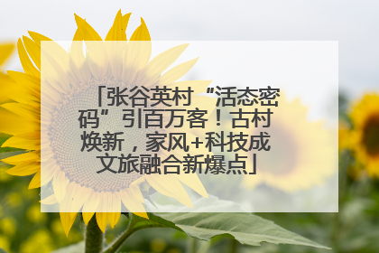 张谷英村“活态密码”引百万客！古村焕新，家风+科技成文旅融合新爆点