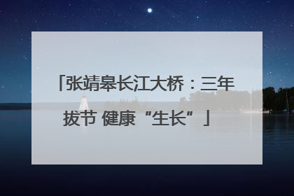 张靖皋长江大桥：三年拔节 健康“生长”