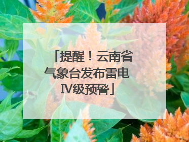 提醒！云南省气象台发布雷电Ⅳ级预警