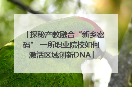 探秘产教融合“新乡密码” 一所职业院校如何激活区域创新DNA