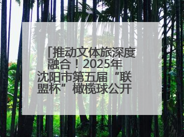 推动文体旅深度融合！2025年沈阳市第五届“联盟杯”橄榄球公开赛燃情开赛