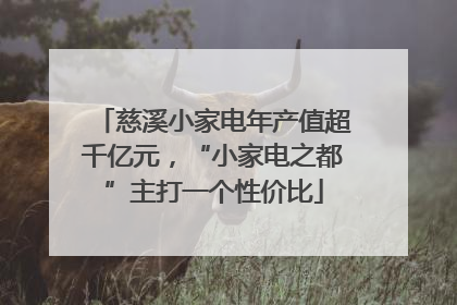 慈溪小家电年产值超千亿元，“小家电之都”主打一个性价比