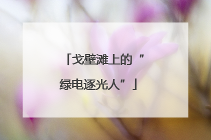 戈壁滩上的“绿电逐光人”