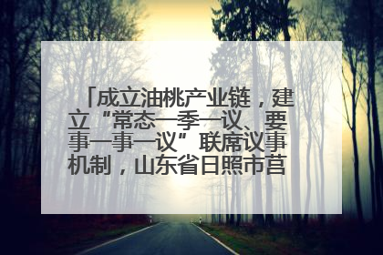 成立油桃产业链，建立“常态一季一议、要事一事一议”联席议事机制，山东省日照市莒县果庄镇——13个党小组“全周期”育果