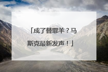 成了替罪羊？马斯克最新发声！