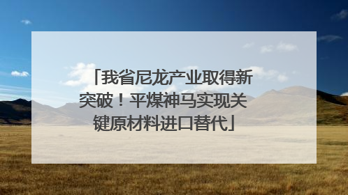 我省尼龙产业取得新突破！平煤神马实现关键原材料进口替代