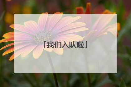 我们入队啦