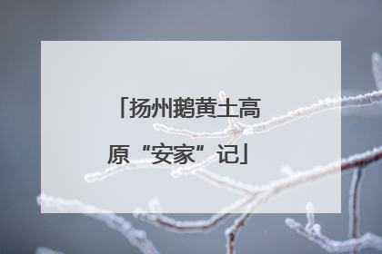 扬州鹅黄土高原“安家”记