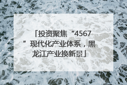投资聚焦“4567”现代化产业体系，黑龙江产业换新景