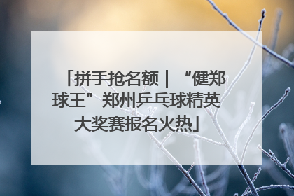 拼手抢名额｜“健郑球王”郑州乒乓球精英大奖赛报名火热