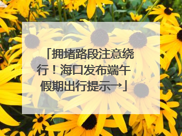 拥堵路段注意绕行！海口发布端午假期出行提示→