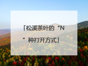 松溪茶叶的“N”种打开方式