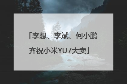 李想、李斌、何小鹏齐祝小米YU7大卖