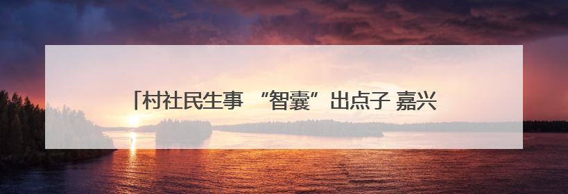 村社民生事 “智囊”出点子 嘉兴市秀洲区推行AI“民情一本账”