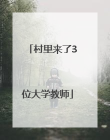 村里来了3位大学教师