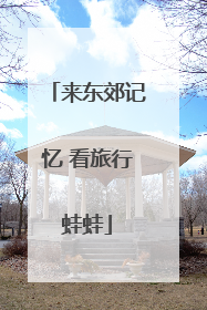 来东郊记忆 看旅行蛙蛙