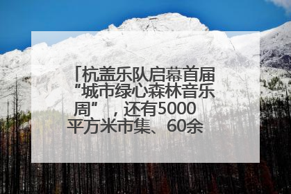 杭盖乐队启幕首届“城市绿心森林音乐周”，还有5000平方米市集、60余场免费活动等你来