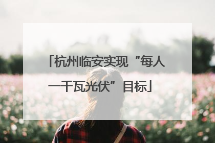 杭州临安实现“每人一千瓦光伏”目标