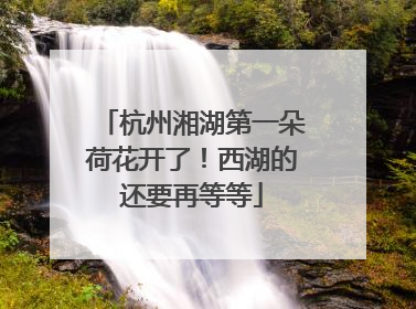 杭州湘湖第一朵荷花开了！西湖的还要再等等