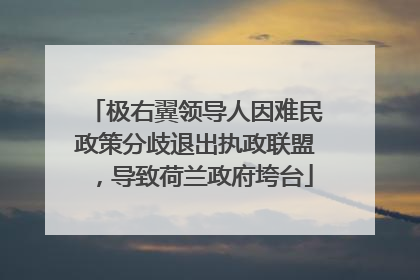极右翼领导人因难民政策分歧退出执政联盟，导致荷兰政府垮台
