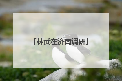林武在济南调研