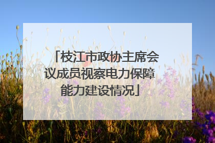 枝江市政协主席会议成员视察电力保障能力建设情况