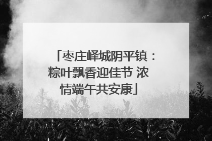 枣庄峄城阴平镇：粽叶飘香迎佳节 浓情端午共安康