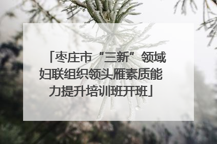 枣庄市“三新”领域妇联组织领头雁素质能力提升培训班开班