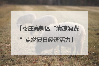 枣庄高新区“清凉消费”点燃夏日经济活力