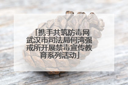 携手共筑防毒网 武汉市司法局何湾强戒所开展禁毒宣传教育系列活动