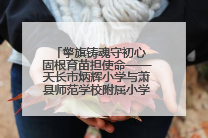 擎旗铸魂守初心 固根育苗担使命——天长市炳辉小学与萧县师范学校附属小学结对共建活动纪实