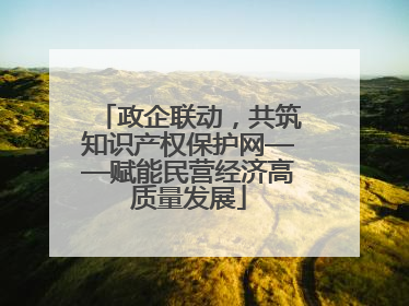 政企联动，共筑知识产权保护网——赋能民营经济高质量发展