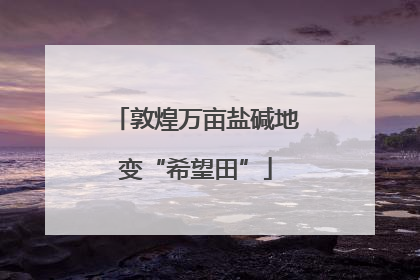 敦煌万亩盐碱地变“希望田”