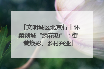 文明城区北京行丨怀柔创城“绣花功”：街巷焕彩、乡村兴业