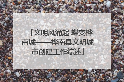 文明风涌起 蝶变桦南城——桦南县文明城市创建工作综述