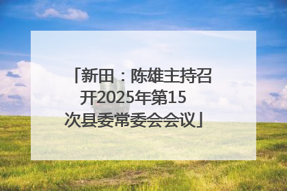 新田：陈雄主持召开2025年第15次县委常委会会议