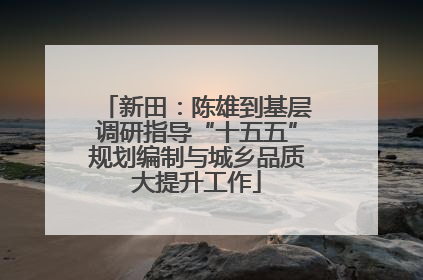 新田：陈雄到基层调研指导“十五五”规划编制与城乡品质大提升工作
