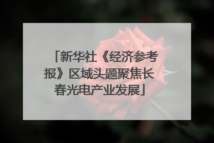 新华社《经济参考报》区域头题聚焦长春光电产业发展