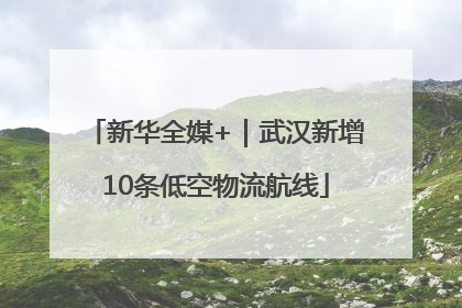 新华全媒+｜武汉新增10条低空物流航线