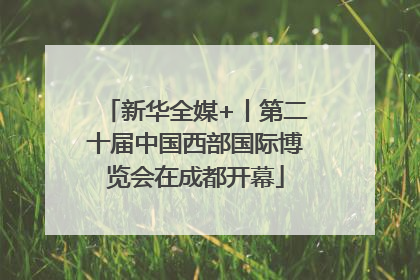 新华全媒+丨第二十届中国西部国际博览会在成都开幕