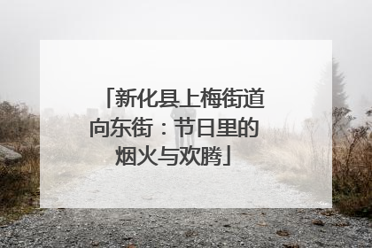 新化县上梅街道向东街：节日里的烟火与欢腾