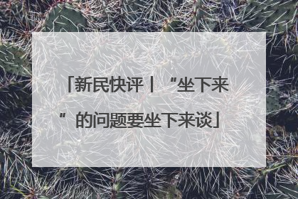 新民快评丨“坐下来”的问题要坐下来谈