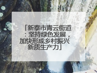 新泰市青云街道：坚持绿色发展，加快形成乡村振兴新质生产力