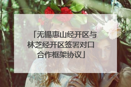 无锡惠山经开区与林芝经开区签署对口合作框架协议