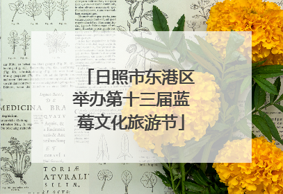 日照市东港区举办第十三届蓝莓文化旅游节