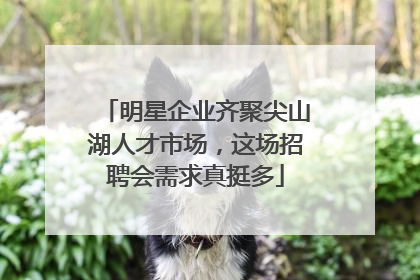 明星企业齐聚尖山湖人才市场，这场招聘会需求真挺多