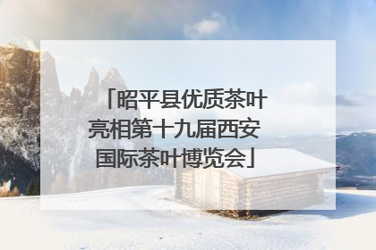 昭平县优质茶叶亮相第十九届西安国际茶叶博览会