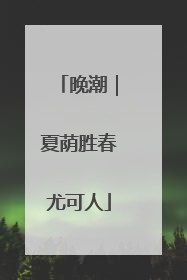 晚潮｜夏荫胜春尤可人