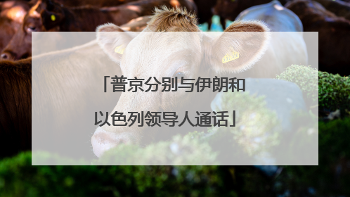 普京分别与伊朗和以色列领导人通话